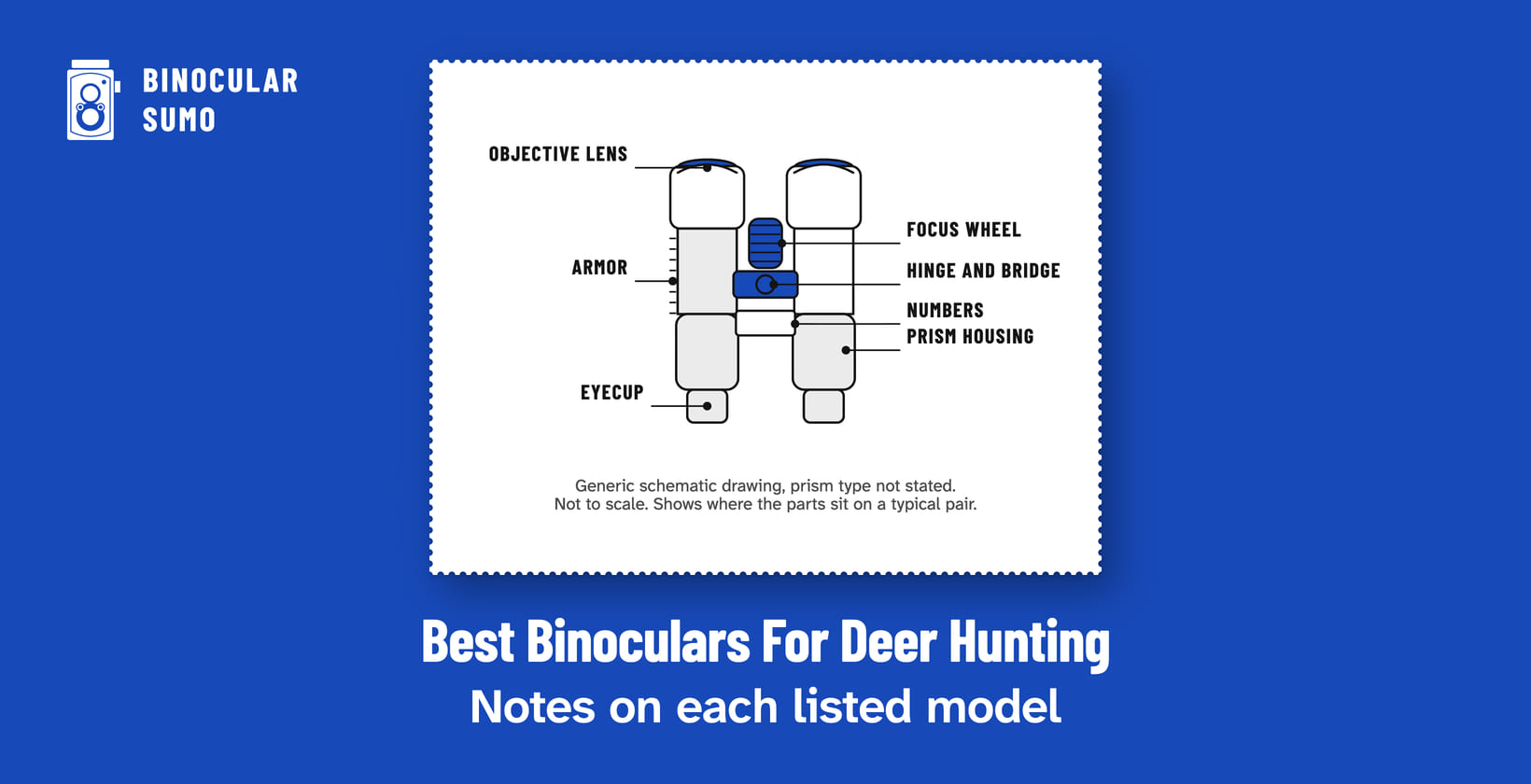 Best Binoculars For Deer Hunting: Notes on each listed model. Drawing of a binocular with its parts named.
