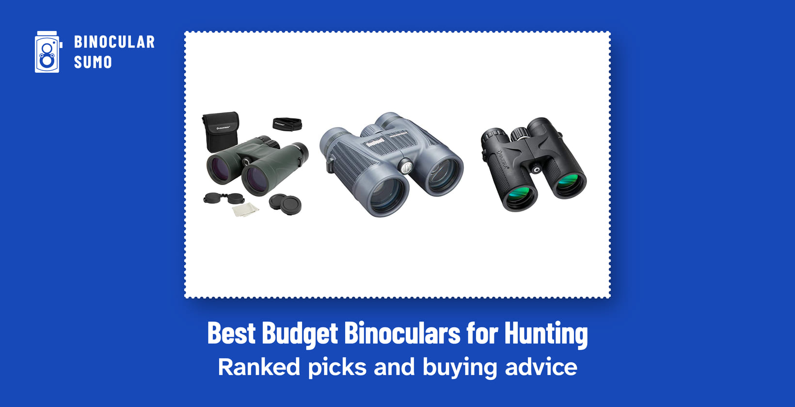 Best Budget Binoculars for Hunting: Ranked picks and buying advice. Product photos from the product listings: the Celestron Nature DX, the Bushnell H2O Binoculars and the BARSKA Blackhawk binoculars.