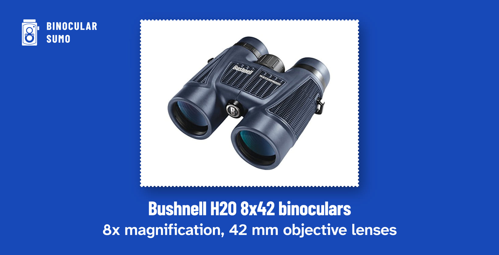 Bushnell H2O 8x42 binoculars: 8x magnification, 42 mm objective lenses. Product photo from the product listing.