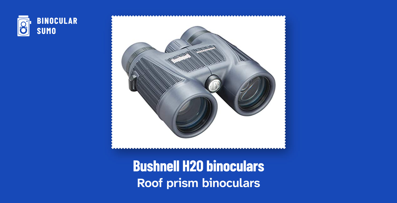 Bushnell H2O binoculars: Roof prism binoculars. Product photo from the product listing.