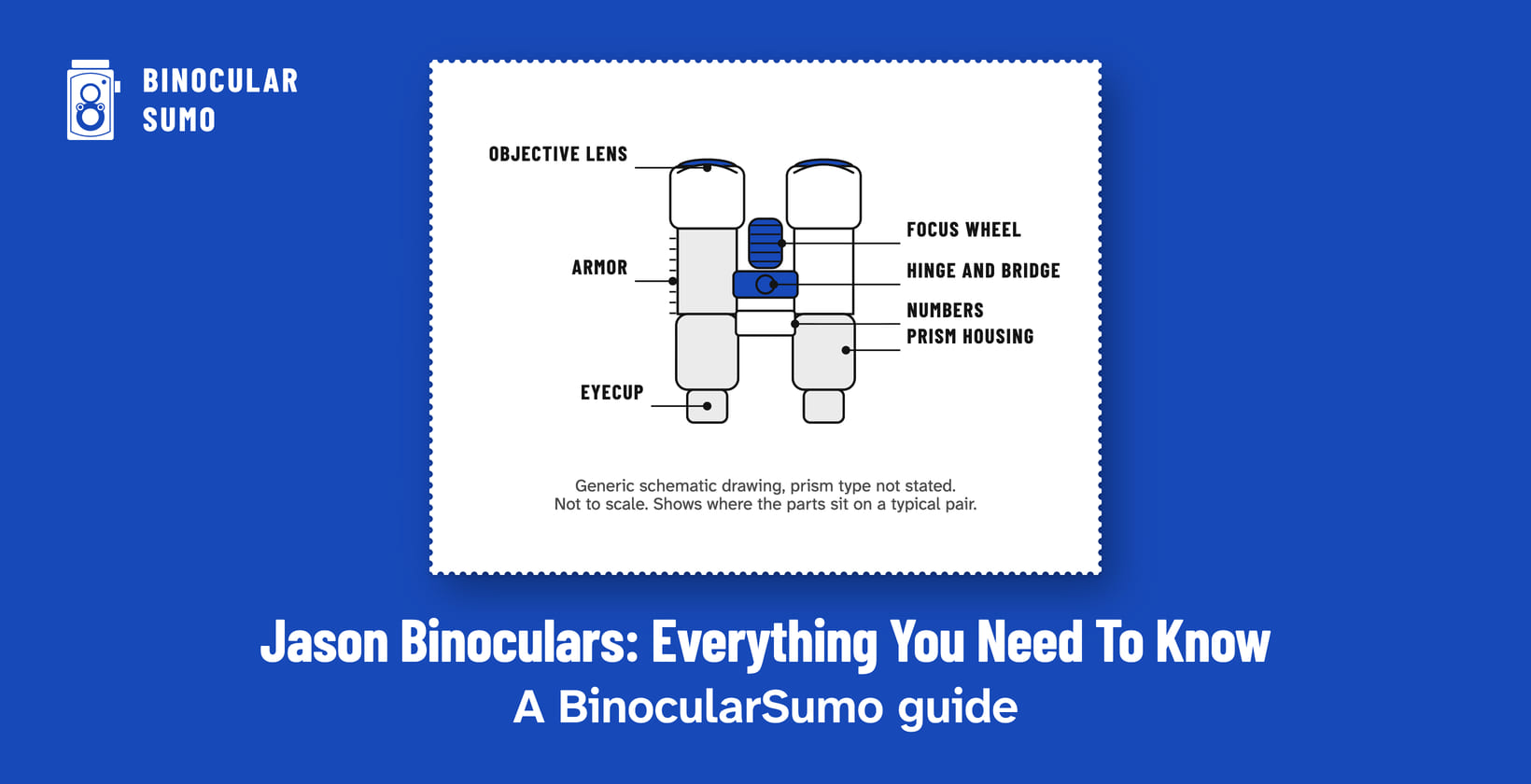 Jason Binoculars: Everything You Need To Know: A BinocularSumo guide. Drawing of a binocular with its parts named. Drawn by BinocularSumo for this page. Jason Binoculars: Everything You Need To Know: A BinocularSumo guide. Drawing of a binocular with its parts named.