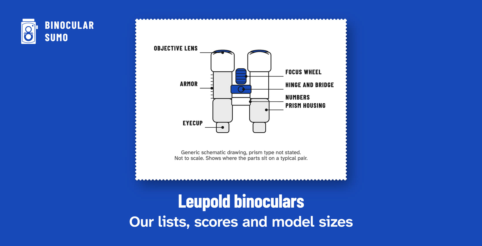 Leupold binoculars: Our lists, scores and model sizes. Drawing of a binocular with its parts named. Drawn by BinocularSumo for this page. Leupold binoculars: Our lists, scores and model sizes. Drawing of a binocular with its parts named.