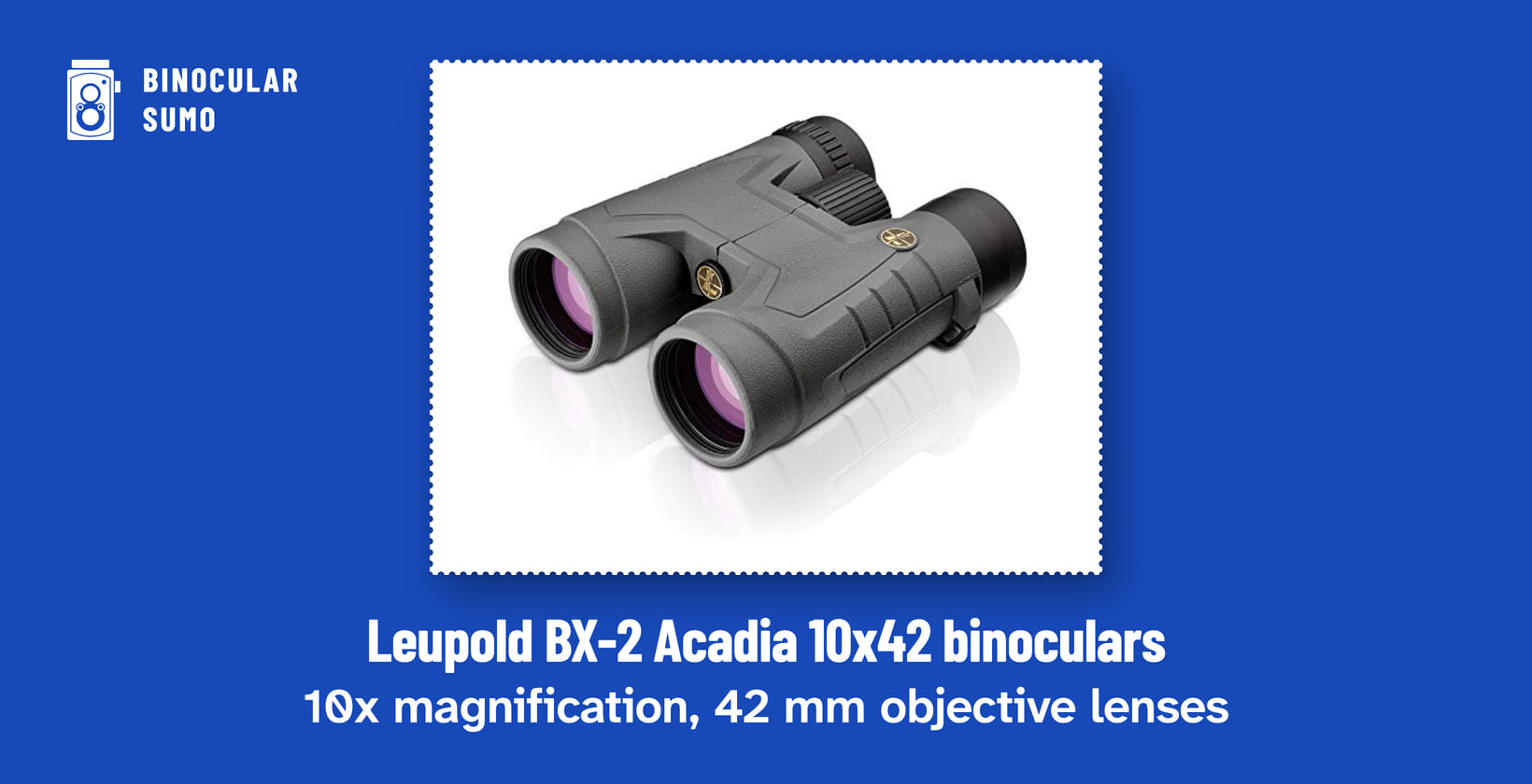 Leupold BX-2 Acadia 10x42 binoculars: 10x magnification, 42 mm objective lenses. Product photo from the product listing. Poster layout made by BinocularSumo. Leupold BX-2 Acadia 10x42 binoculars: 10x magnification, 42 mm objective lenses. Product photo from the product listing.