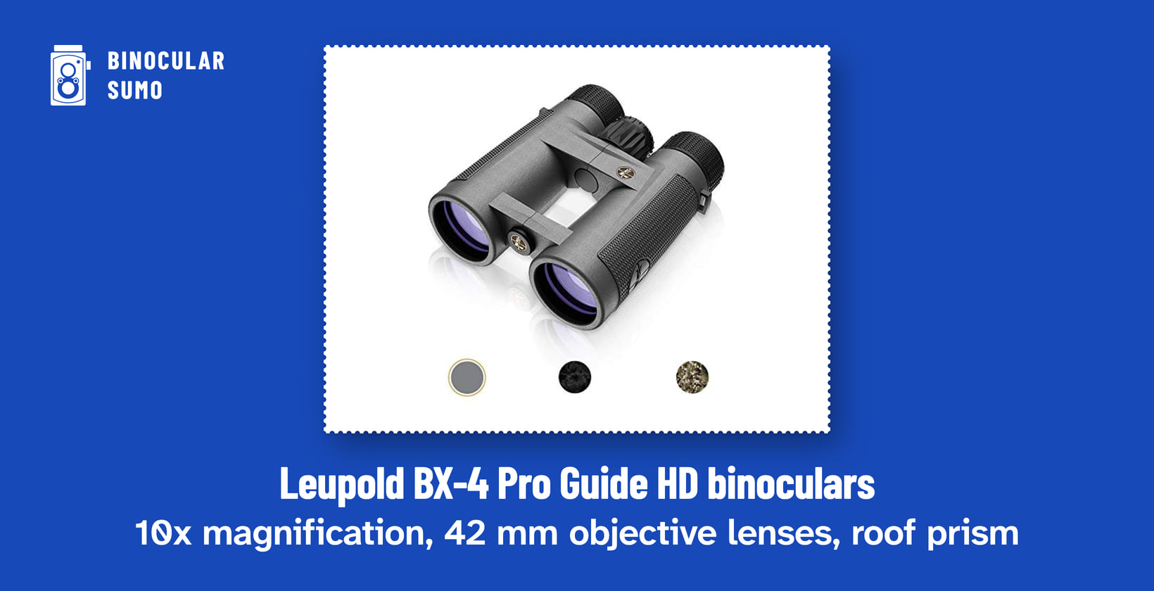 Leupold BX-4 Pro Guide HD binoculars: 10x magnification, 42 mm objective lenses, roof prism. Product photo from the product listing.