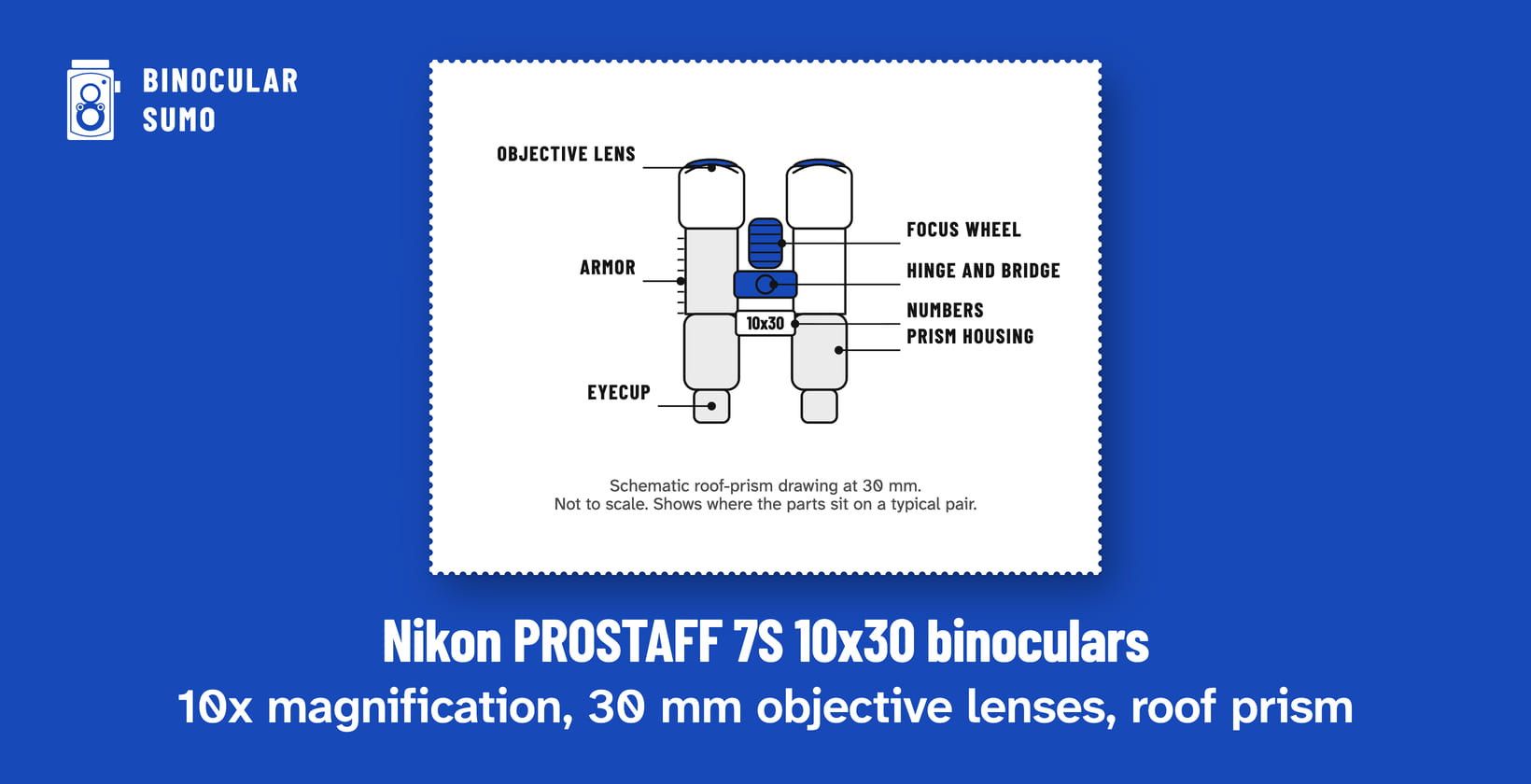 Nikon PROSTAFF 7S 10x30 binoculars: 10x magnification, 30 mm objective lenses, roof prism. Drawing of a roof-prism binocular scaled to its 30 mm objective, with its parts named. Drawn by BinocularSumo for this page. Nikon PROSTAFF 7S 10x30 binoculars: 10x magnification, 30 mm objective lenses, roof prism. Drawing of a roof-prism binocular scaled to its 30 mm objective, with its parts named.