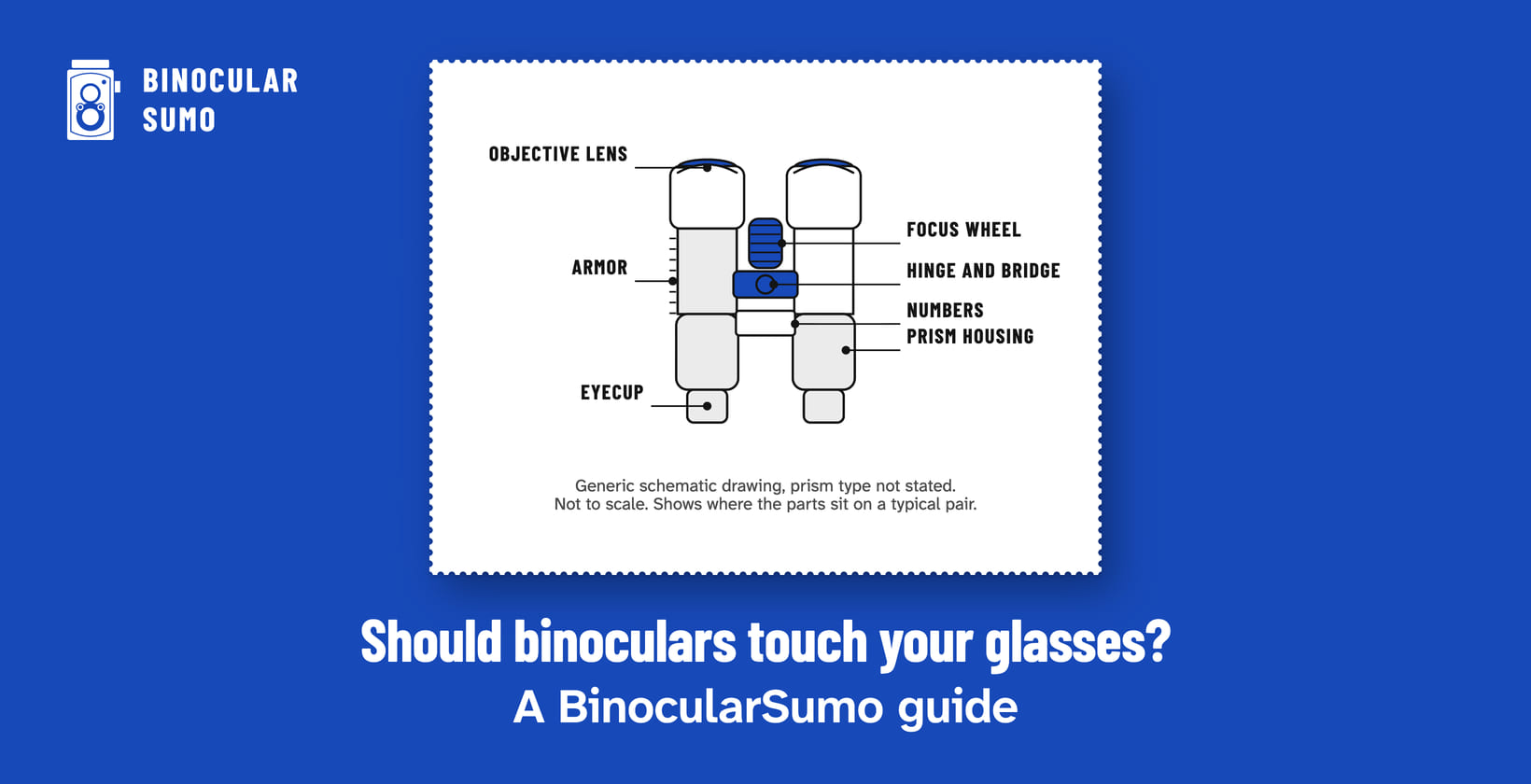Should binoculars touch your glasses? A BinocularSumo guide. Drawing of a binocular with its parts named. Drawn by BinocularSumo for this page. Should binoculars touch your glasses? A BinocularSumo guide. Drawing of a binocular with its parts named.