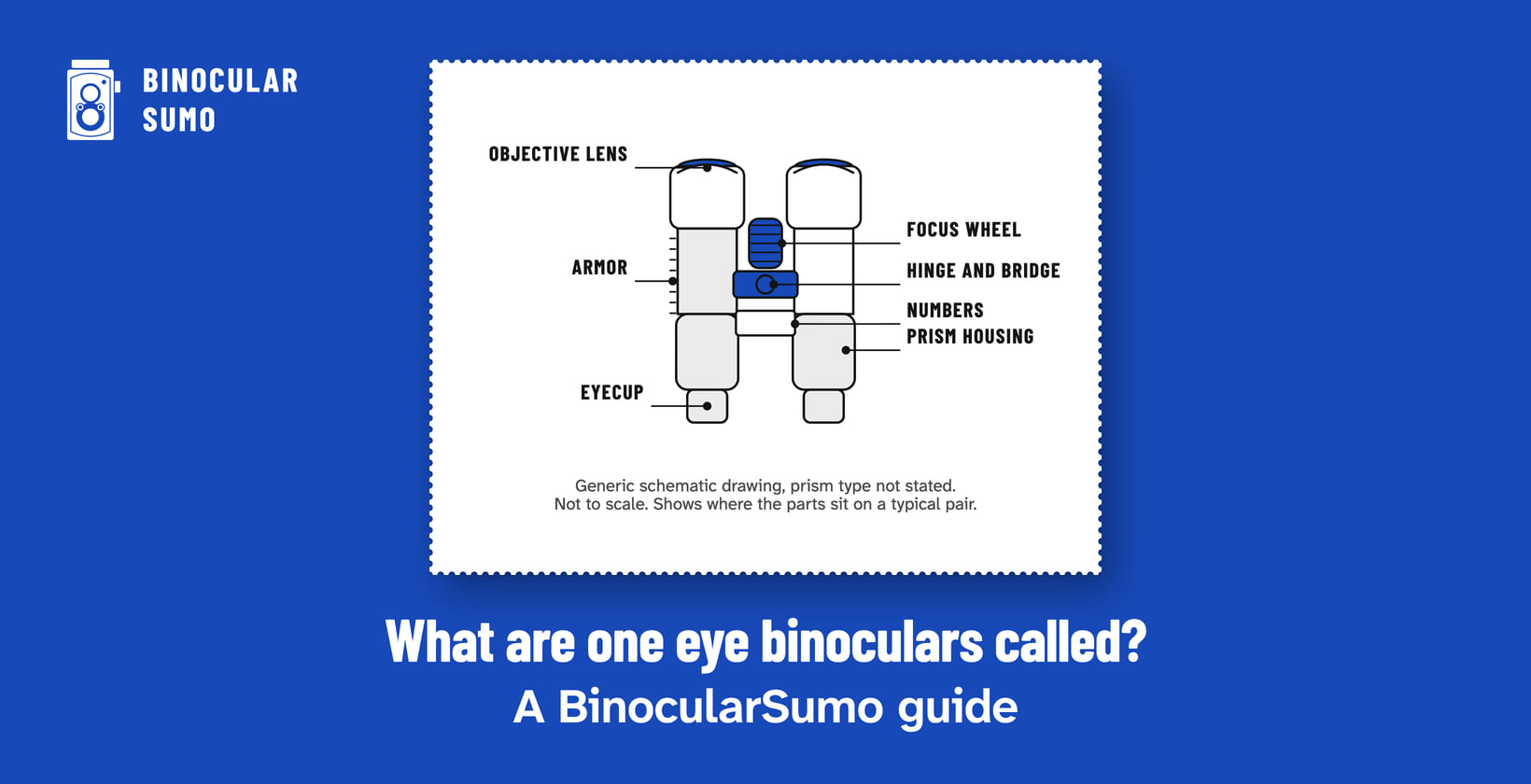 What are one eye binoculars called? A BinocularSumo guide. Drawing of a binocular with its parts named.