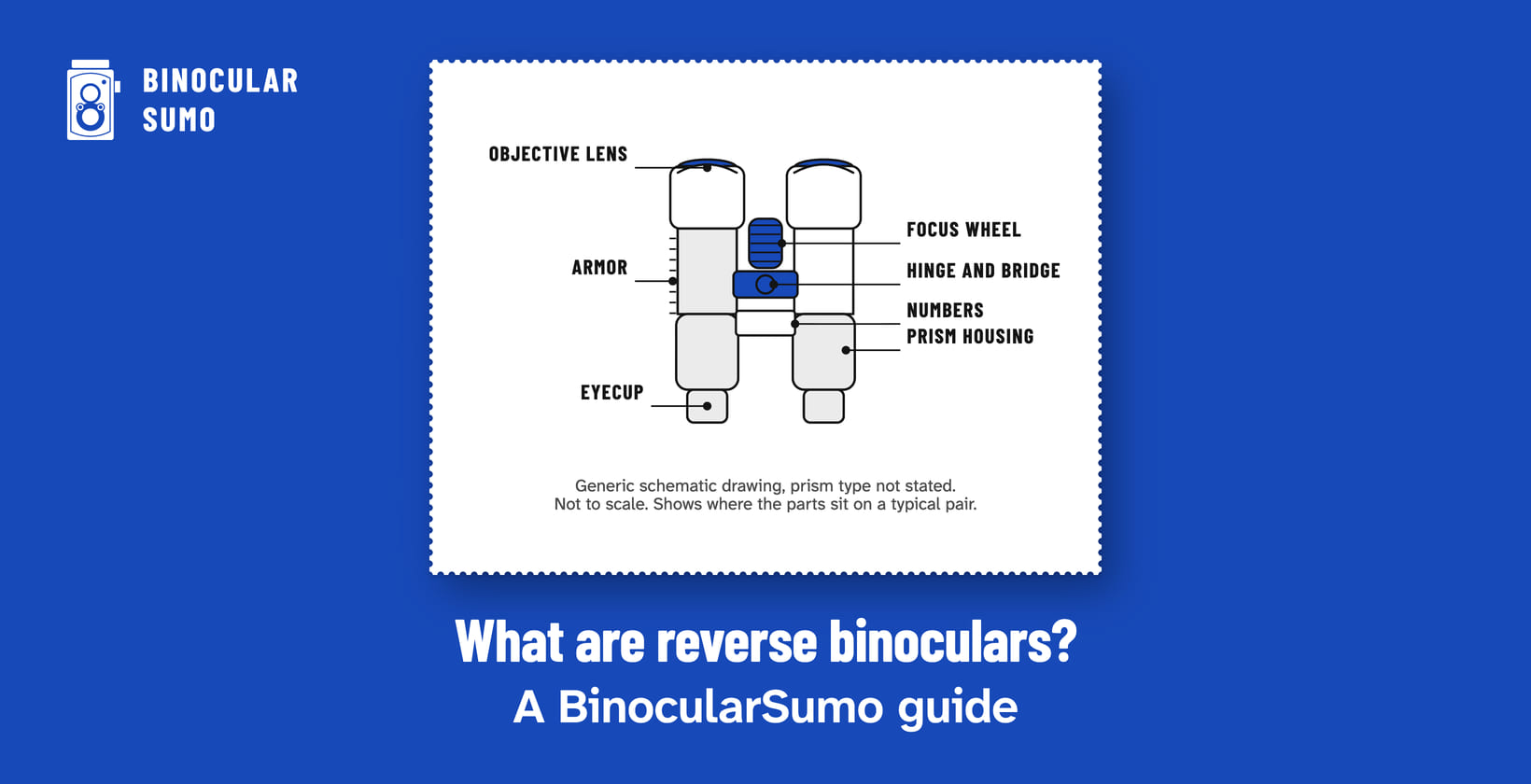 What are reverse binoculars? A BinocularSumo guide. Drawing of a binocular with its parts named. Drawn by BinocularSumo for this page. What are reverse binoculars? A BinocularSumo guide. Drawing of a binocular with its parts named.