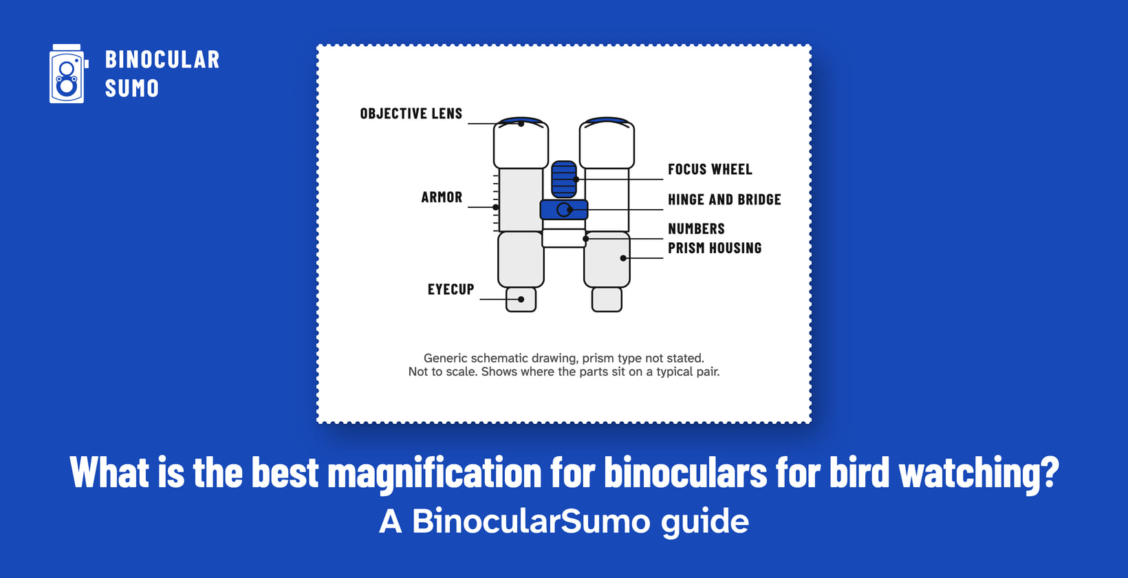 What is the best magnification for binoculars for bird watching? A BinocularSumo guide. Drawing of a binocular with its parts named.