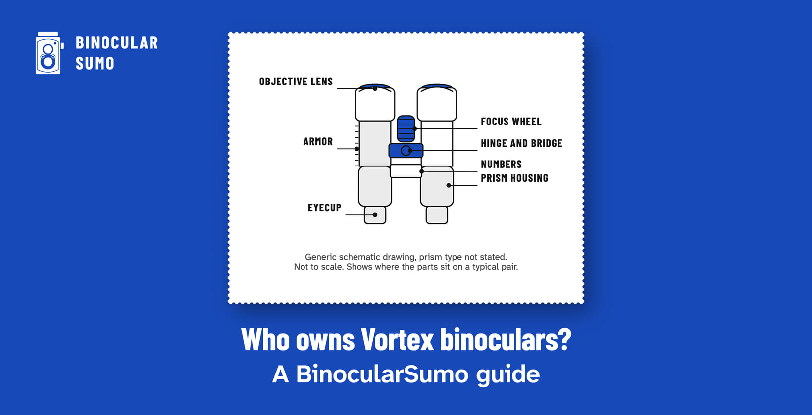 Who owns Vortex binoculars? A BinocularSumo guide. Drawing of a binocular with its parts named.