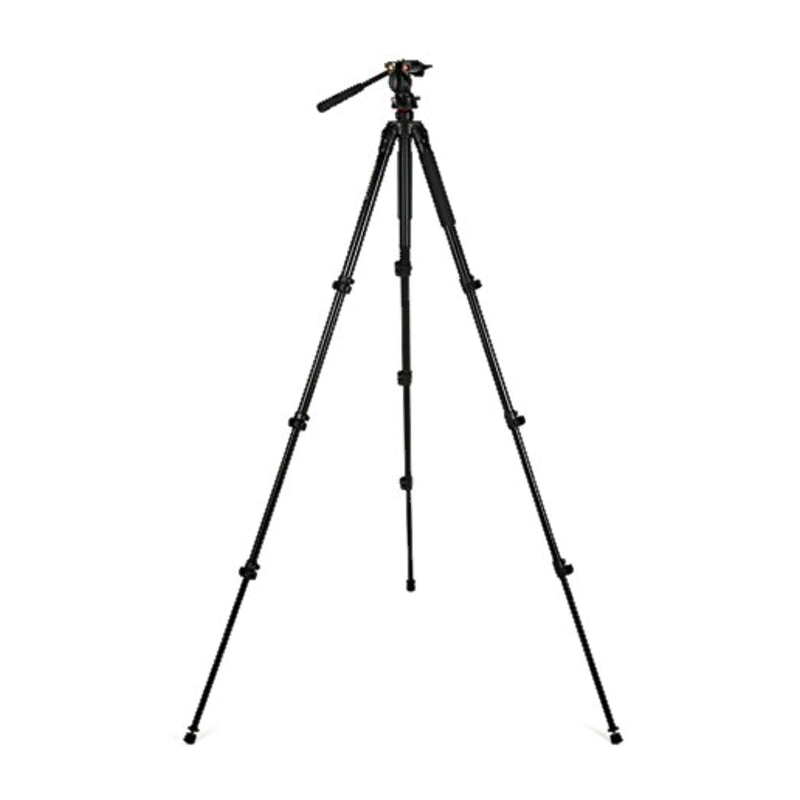 Celestron Tripod, Regal Premium