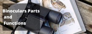 binoculars parts and functions