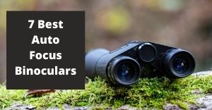 best auto focus binoculars