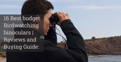 16 Best budget Birdwatching binoculars | Reviews and Buying Guide: