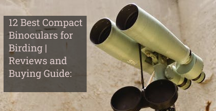 12 Best Compact Binoculars for Birding | Reviews and Buying Guide: