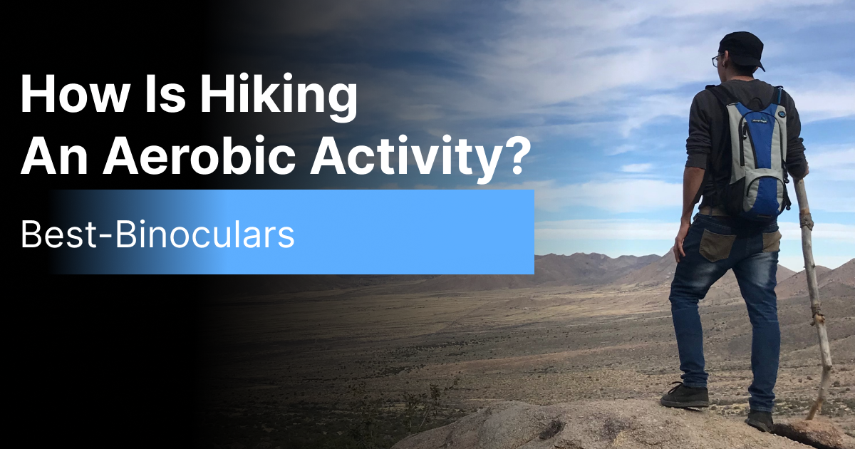 How Is Hiking An Aerobic Activity Featured Image